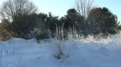 Cold winter day Stock Footage 955016
