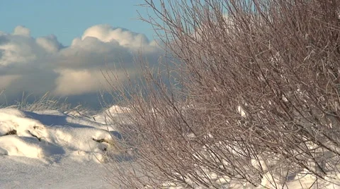 Cold winter day Stock Footage 955028