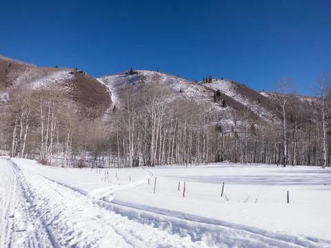 Cold winter day on the mountain with fresh snow and cross country ski tracks Stock Photos