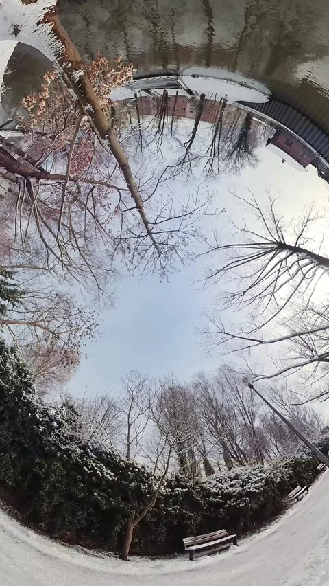 A Cold Winter Day in the Park - A 360-Degree View Stock Footage 269552801