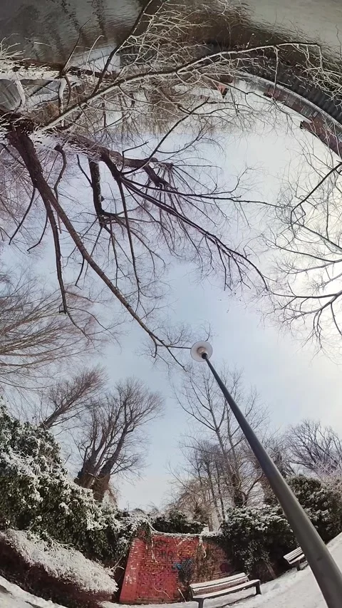 A Cold Winter Day in the Park - A 360-Degree View Stock Footage 276834827
