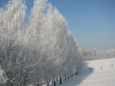 Cold winter day Foto stock