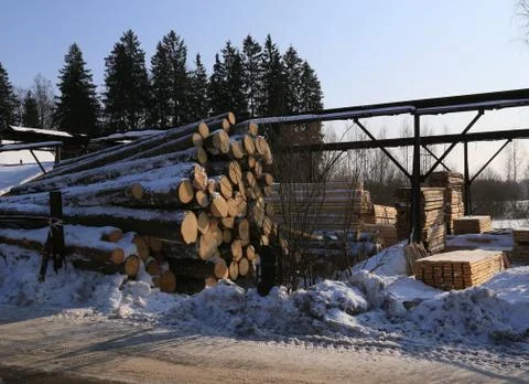 Cold winter day Stock Photos