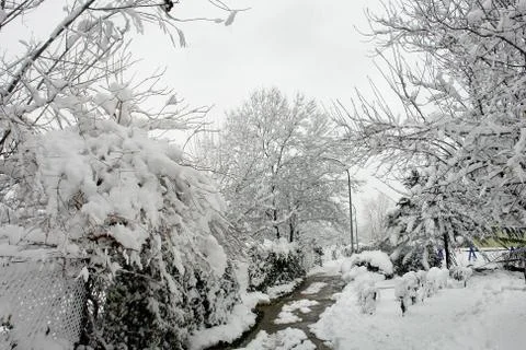 Cold winter day Stock Photos