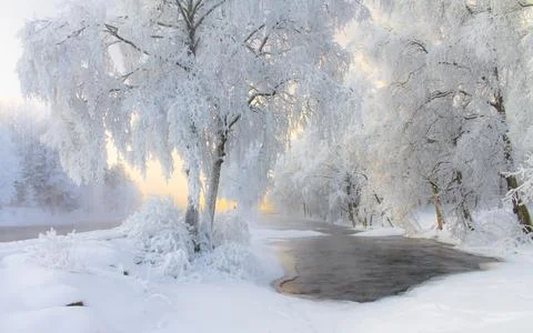 Cold winter day river sunset landscape with snowy trees Stock Photos