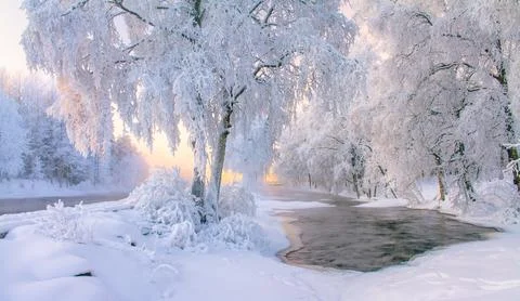 Cold winter day river sunset landscape with snowy trees Stock Photos