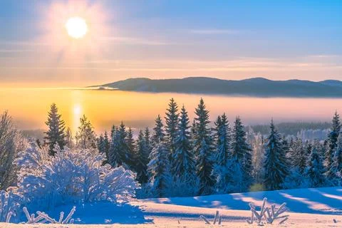 Cold winter day sunset landscape with snowy trees Photo from Sotkamo Finland Stock Photos