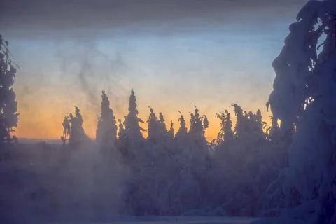 Cold winter day sunset landscape with snowy trees Photo from Sotkamo Finland Stock Photos