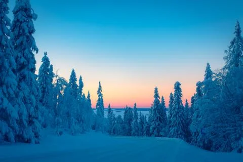 Cold winter day sunset landscape with snowy trees Photo from Sotkamo Finland Stock Photos
