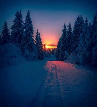 Cold winter day sunset landscape with snowy trees Photo from Sotkamo Finland Stock Photos