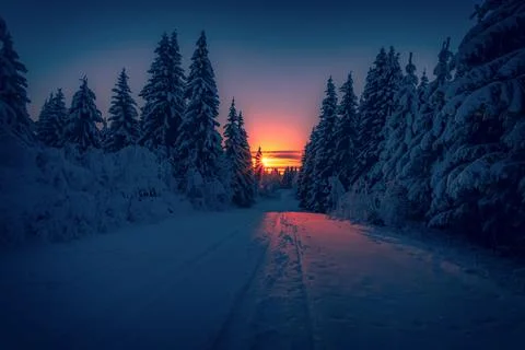 Cold winter day sunset landscape with snowy trees Photo from Sotkamo Finland Stock Photos