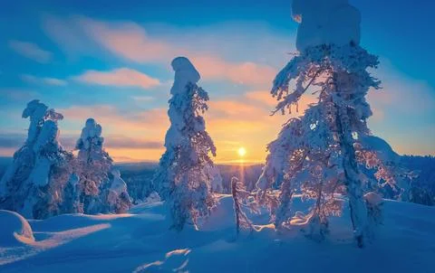 Cold winter day sunset landscape with snowy trees Photo from Sotkamo Finland Stock Photos