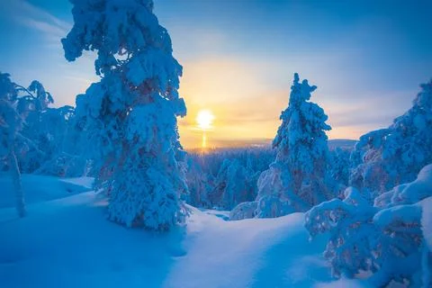 Cold winter day sunset landscape with snowy trees Photo from Sotkamo Finland Stock Photos