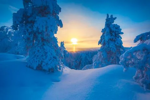 Cold winter day sunset landscape with snowy trees Photo from Sotkamo Finland Stock Photos