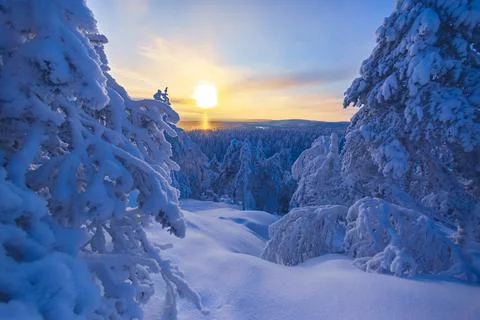 Cold winter day sunset landscape with snowy trees Photo from Sotkamo Finland Stock Photos