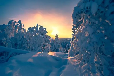 Cold winter day sunset landscape with snowy trees Photo from Sotkamo Finland Stock Photos