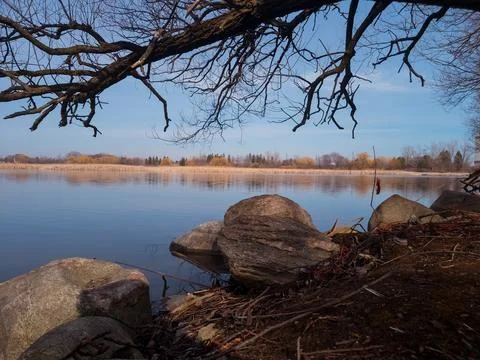 Cold Winter Day As The Tree Hang Over The Water 스톡 사진