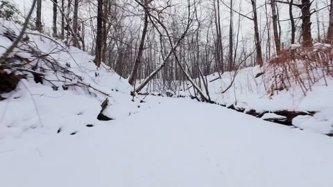 Cold winter forest with icy river Stock Footage 323338972