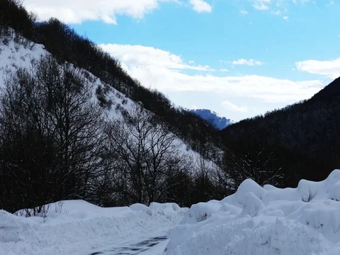 Cold Winter Forrest with Clouds Vidéo 73547131