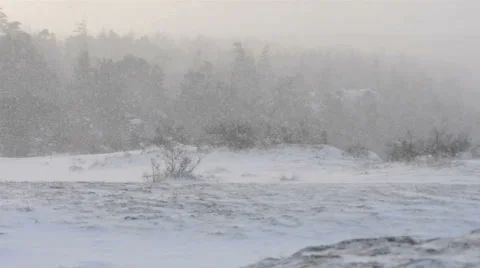 Cold Winter Morning Stock Footage 953871