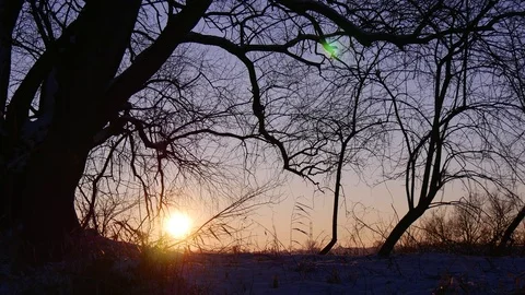 A Cold Winter Morning Stock Footage 72002571