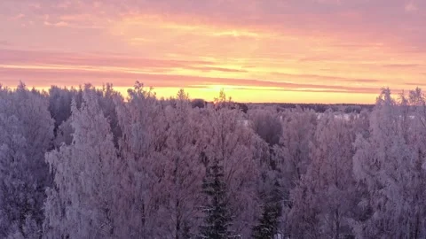 Cold Winter Morning Stock Footage 256679630