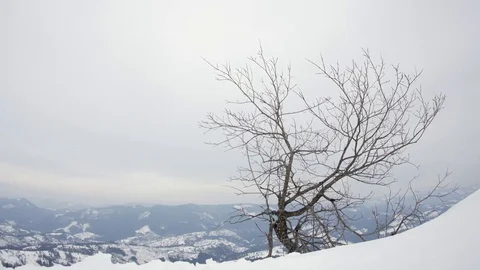 Cold winter in mountain. Stock Footage 73073428