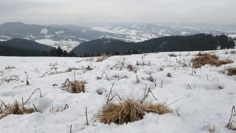 Cold winter in mountains. Stock Footage 72831727