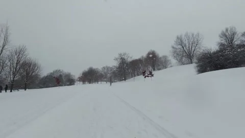 Cold Winter Park Scene With Natural Light Stock Footage 323423726