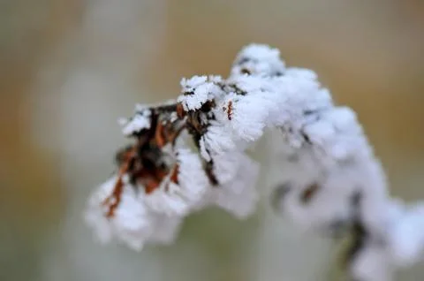 Cold winter Stock Photos