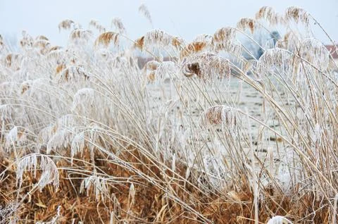Cold winter Stock Photos