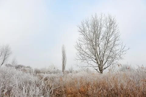 Cold winter Stock Photos