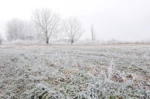 Cold winter Stock Photos