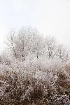 Cold winter Stock Photos