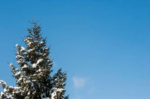 Cold winter Stock Photos