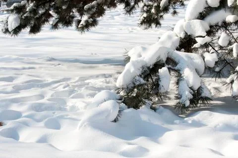 Cold winter Stock Photos