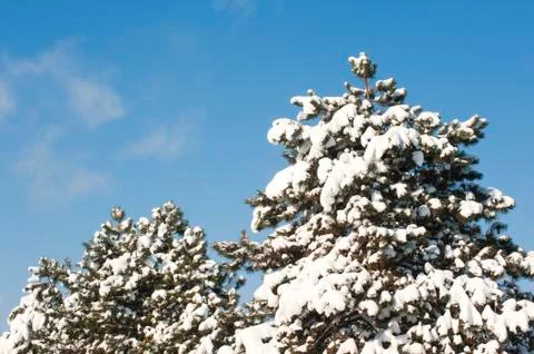 Cold winter Stock Photos