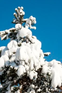 Cold winter Stock Photos