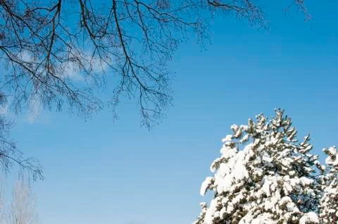 Cold winter Foto stock