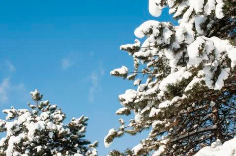 Cold winter Stock Photos