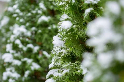 Cold winter Stock Photos