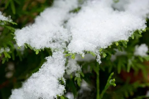 Cold winter Stock Photos