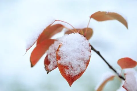 Cold winter Foto stock