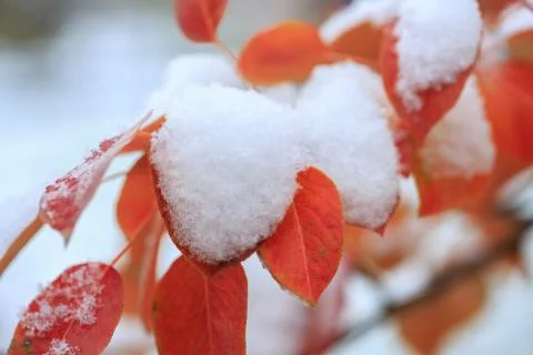 Cold winter Stock Photos