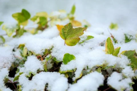 Cold winter Stock Photos