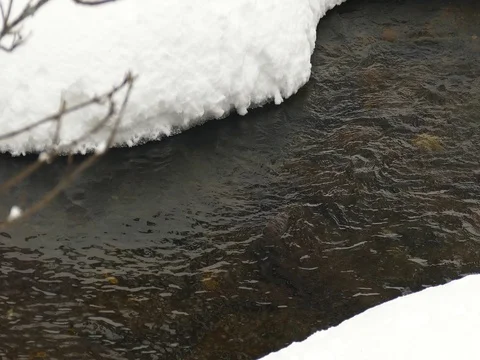 Cold Winter River 스톡 동영상 73547188