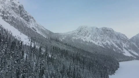 Cold Winter Scene in the Mountains, Flight over Forest and Frozen Lake Stock Footage 169558313