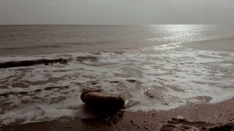 Cold winter sea, waves hitting the shore. Stock Footage 149873510