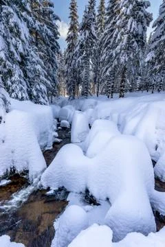 Cold winter snow landscape Stock Photos