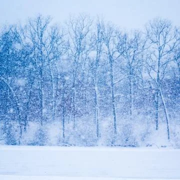 Cold Winter Storm Foto stock